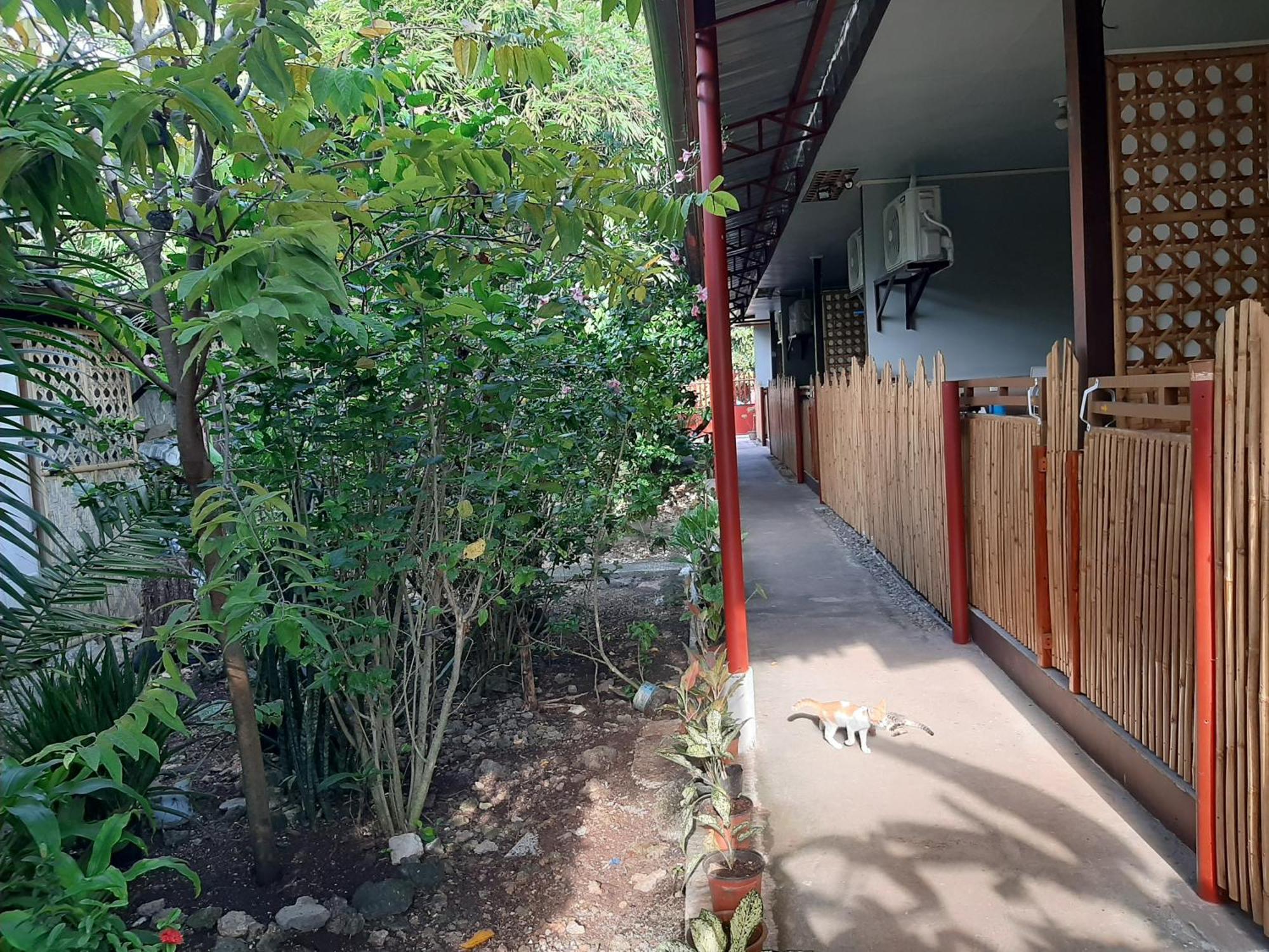 Alimpay Foresters Apartment Panglao Kültér fotó